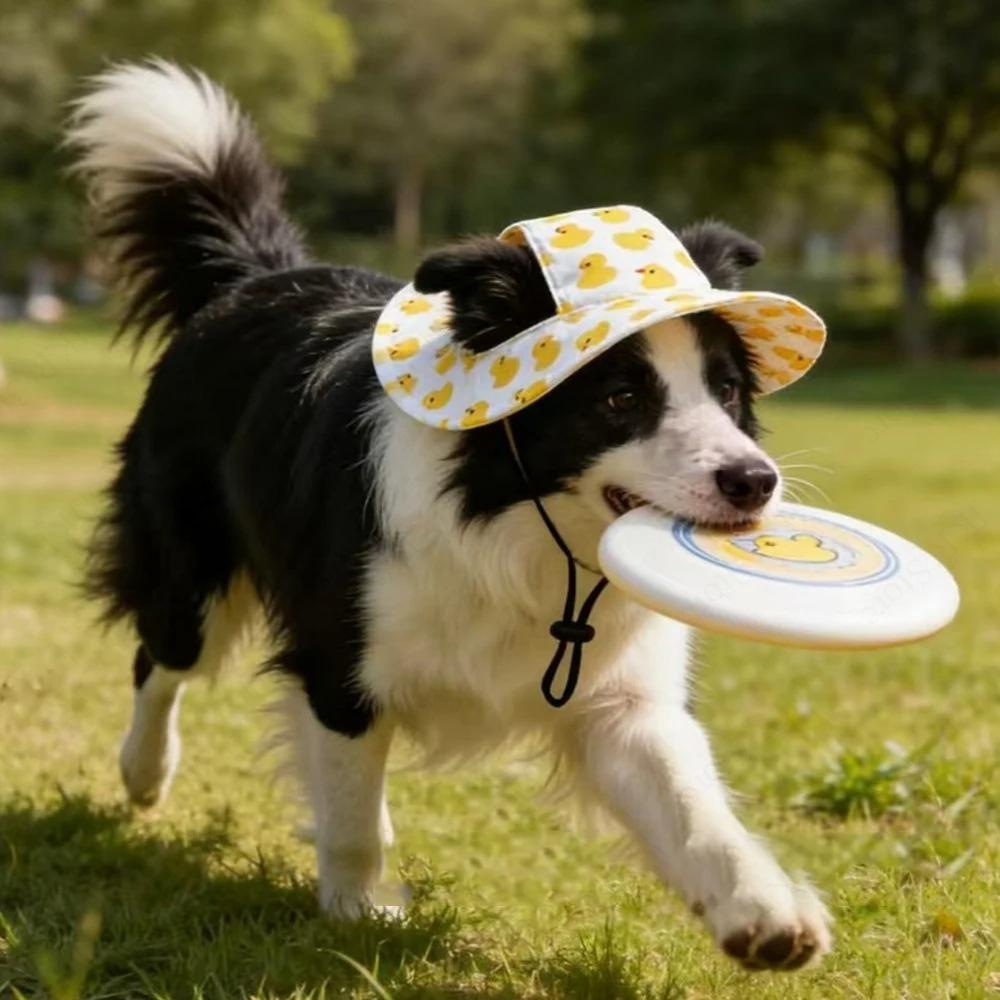 Printed Pet Dog Hat Adjustable - Running Cap Lightweight ulasan dan harga